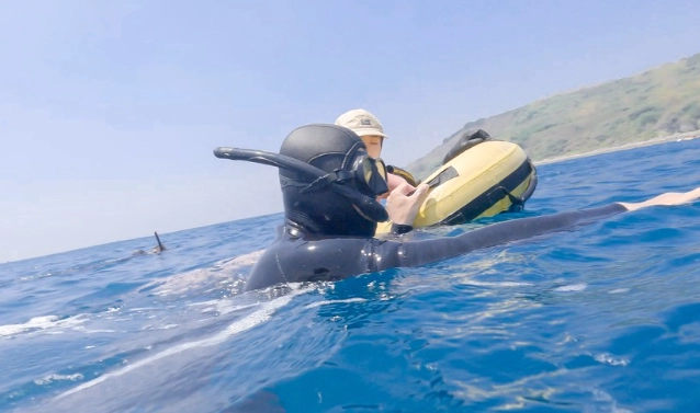 自由潛水筆試常見問題