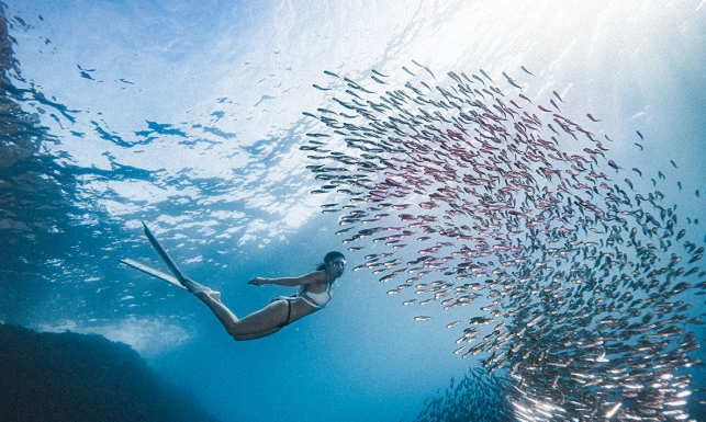 自由潛水筆試常見問題