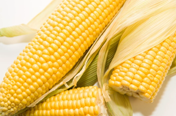 玉米蒸煮技巧
