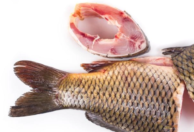 酸菜魚推薦魚種