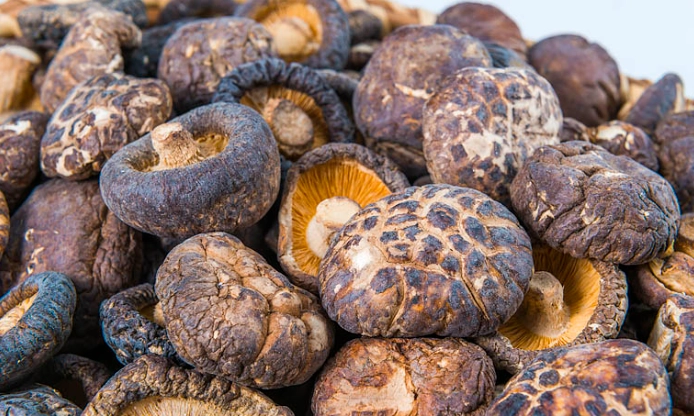 如何挑選乾香菇