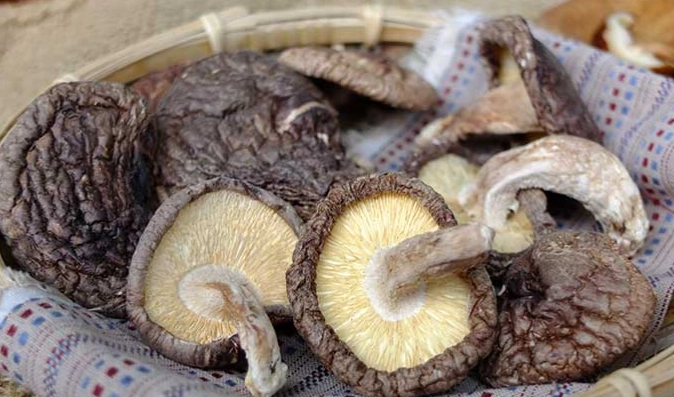 如何挑選乾香菇