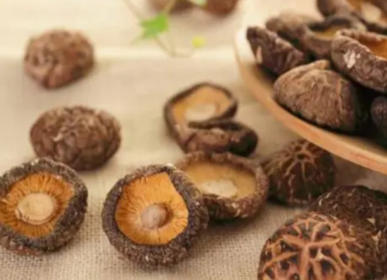 香菇頭可以吃嗎？完整解析營養、處理與常見迷思