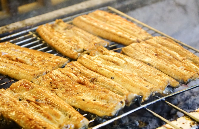 烤鰻魚餐廳推薦