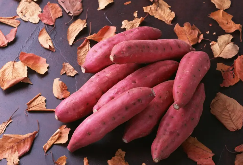 吃地瓜健康益處