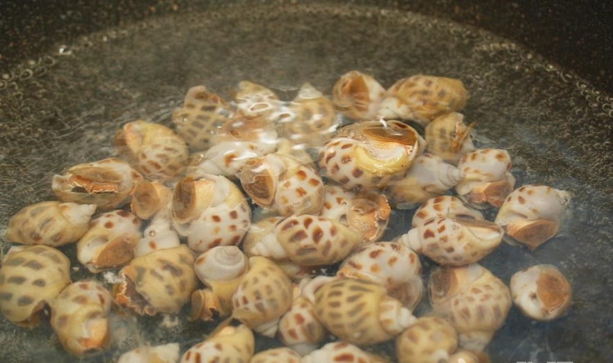 鳳螺怎麼煮