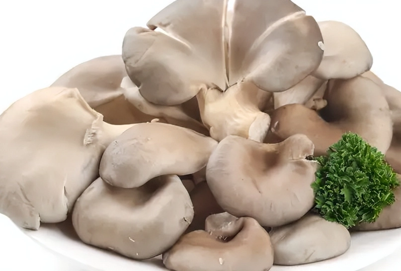 兩來菇是什麼？完整解析品種、吃法與挑選技巧