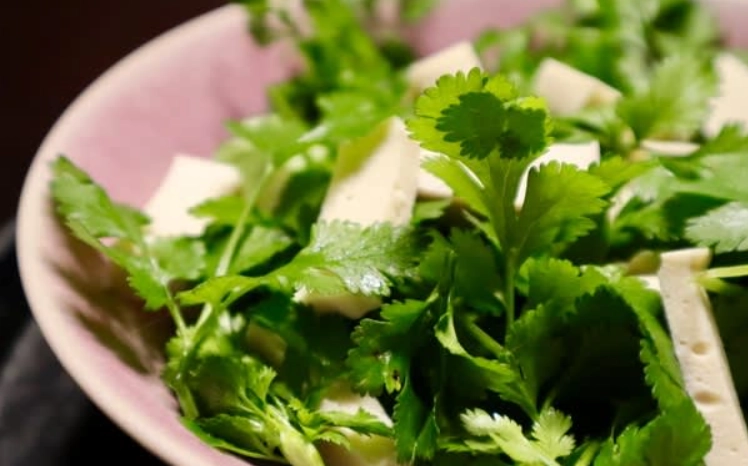 百頁豆腐怎麼煮