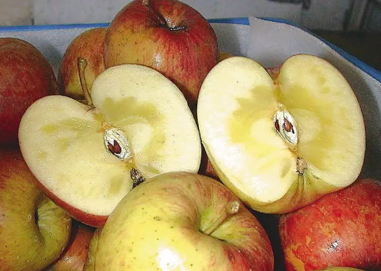 蘋果泥保存全攻略：延長風味的3大秘訣與常見錯誤解析