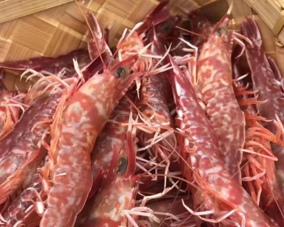 櫻花蝦食譜終極指南：從選購到上桌的鮮味祕訣