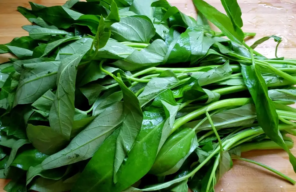 泰國空心菜做法