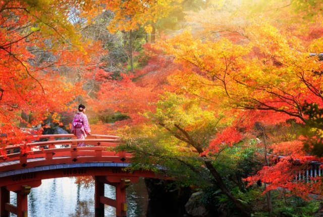 東京自由行行程