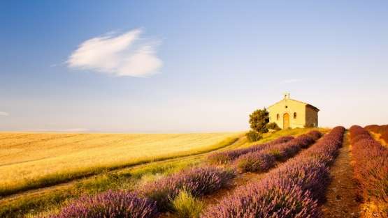 宜蘭寵物友善民宿