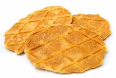 台中狗狗咖啡廳