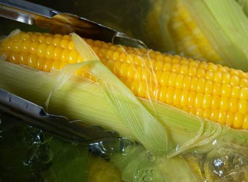 玉米怎麼煮