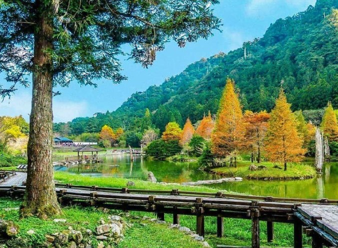 明池國家森林遊樂區