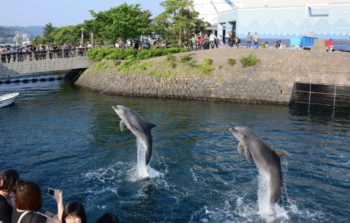 鹿兒島水族館
