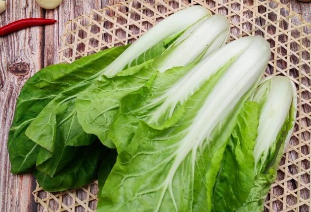 小白菜營養