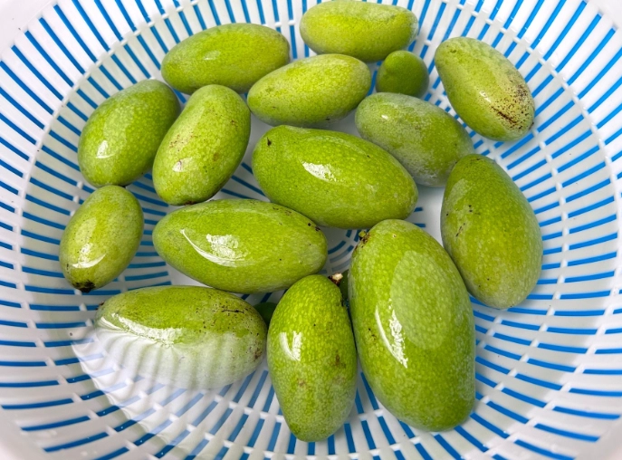 糖漬芒果青比例