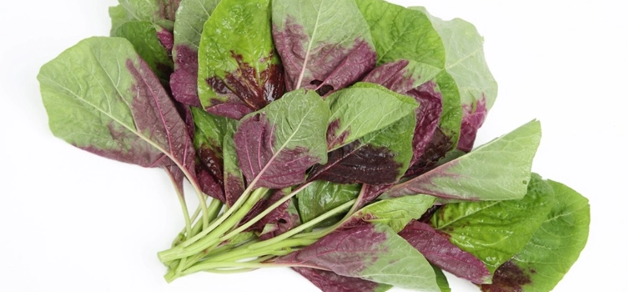 紅莧菜健康益處