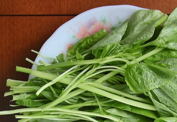 莧菜不能和什麼同食