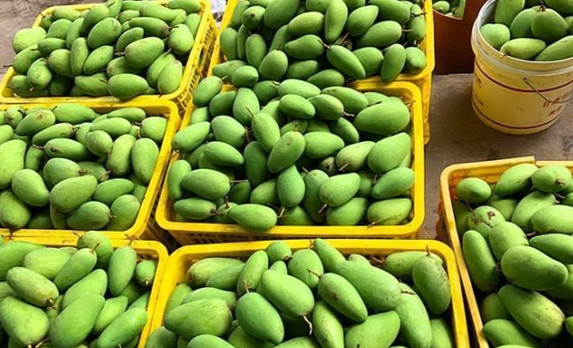 芒果乾製作方法