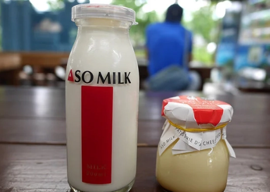 阿蘇牛奶牧場 門票