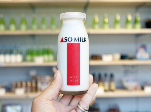 阿蘇牛奶牧場 體驗