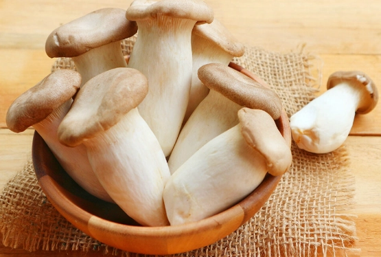 蘑菇健康益處