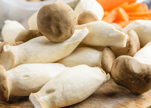 蘑菇杏鮑菇營養