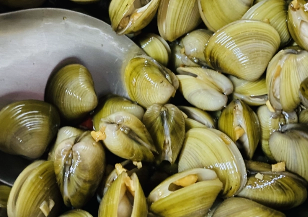 蜆仔寄生蟲症狀