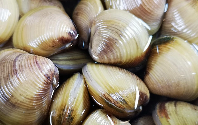 蜆仔寄生蟲症狀