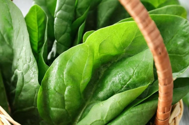 菠菜 草酸 腹瀉