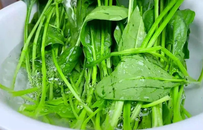 菠菜 草酸 腹瀉