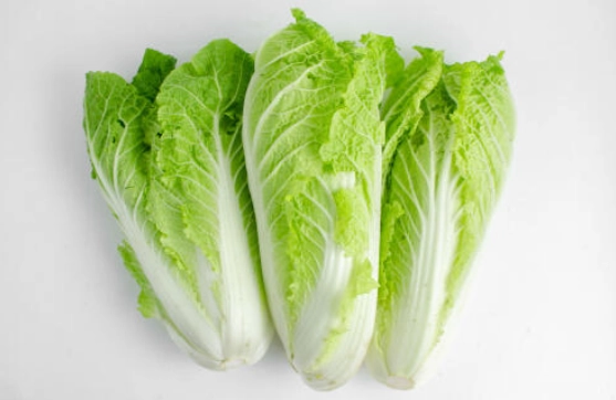 白菜料理
